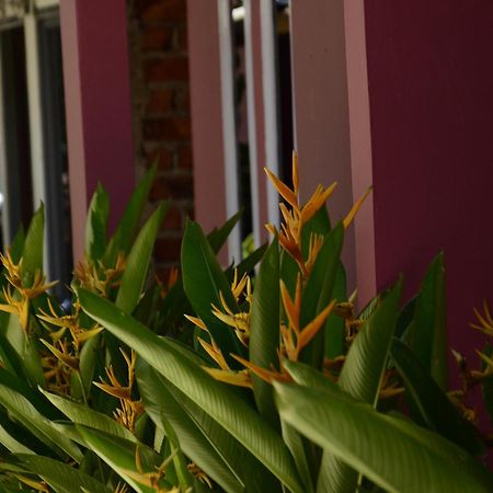Baronda Guest House Sorong Exterior photo