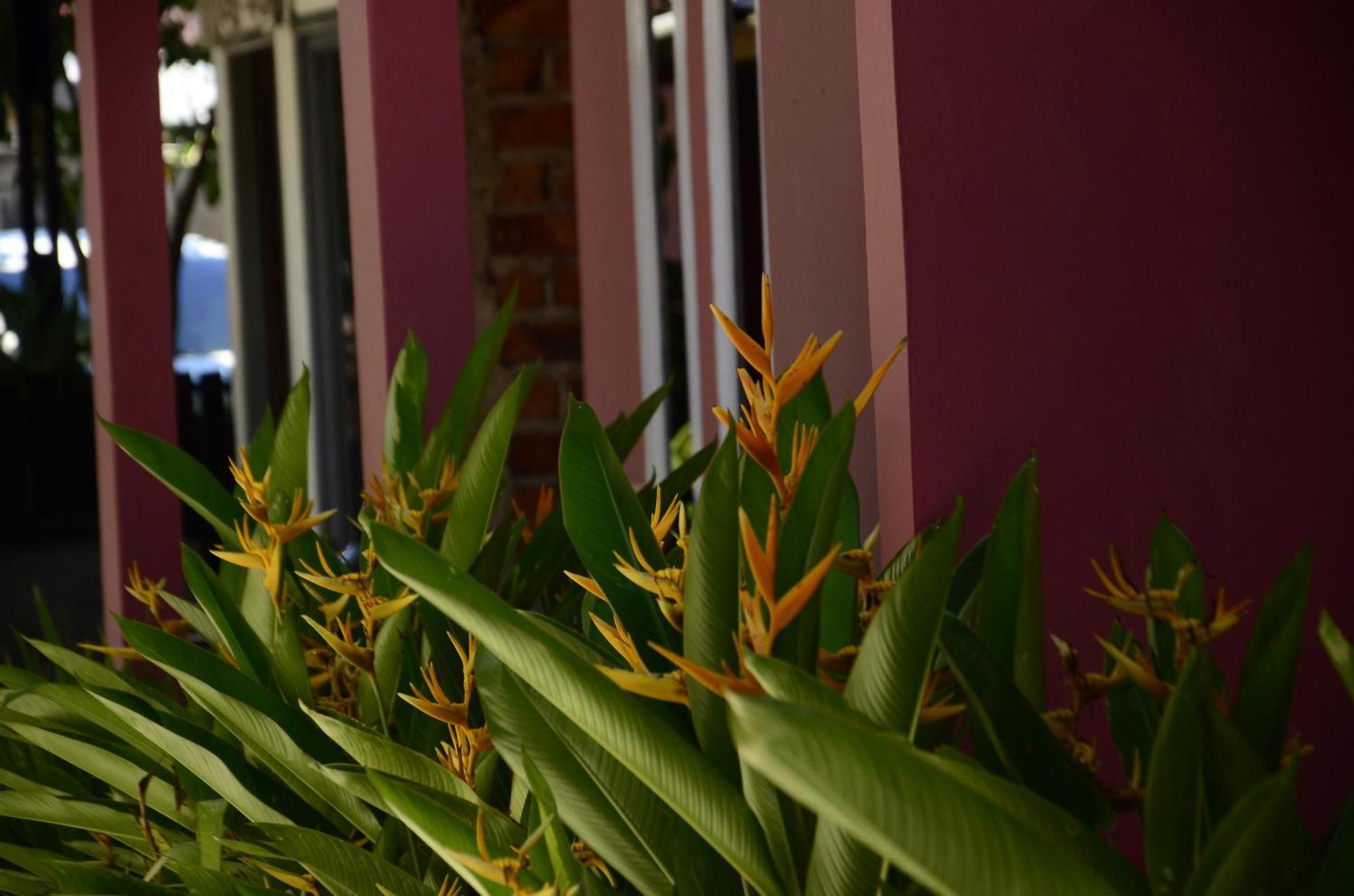 Baronda Guest House Sorong Exterior photo